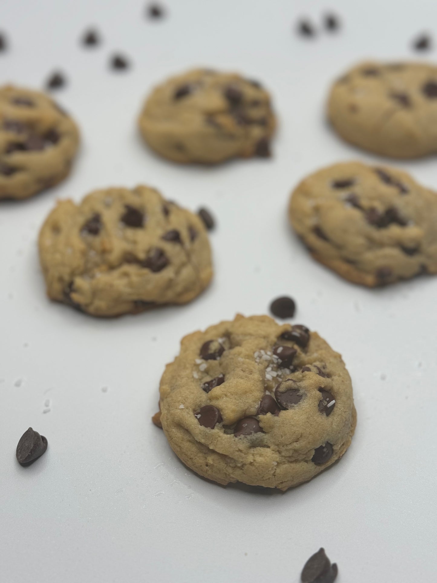 Chocolate Chip-1 Dozen